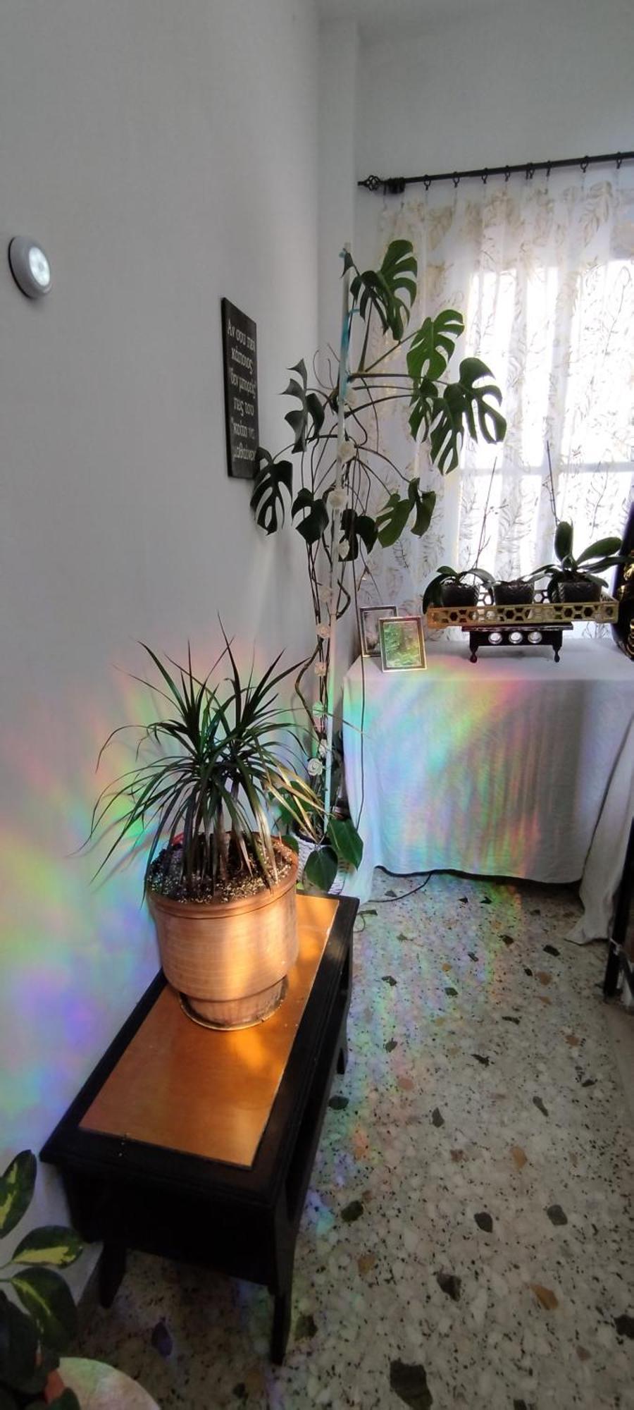 Cozy Room In Quiet Neighbourhood Athena Bagian luar foto